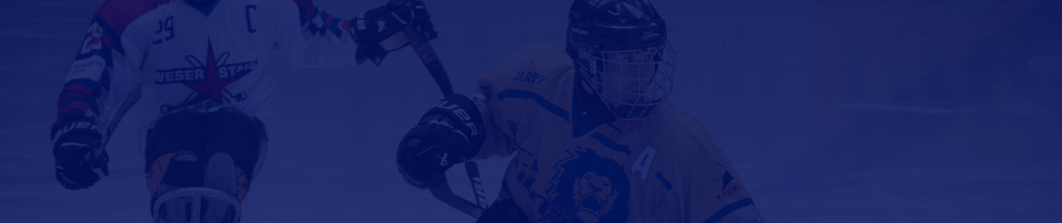 ICE Lions gegen Dresden
