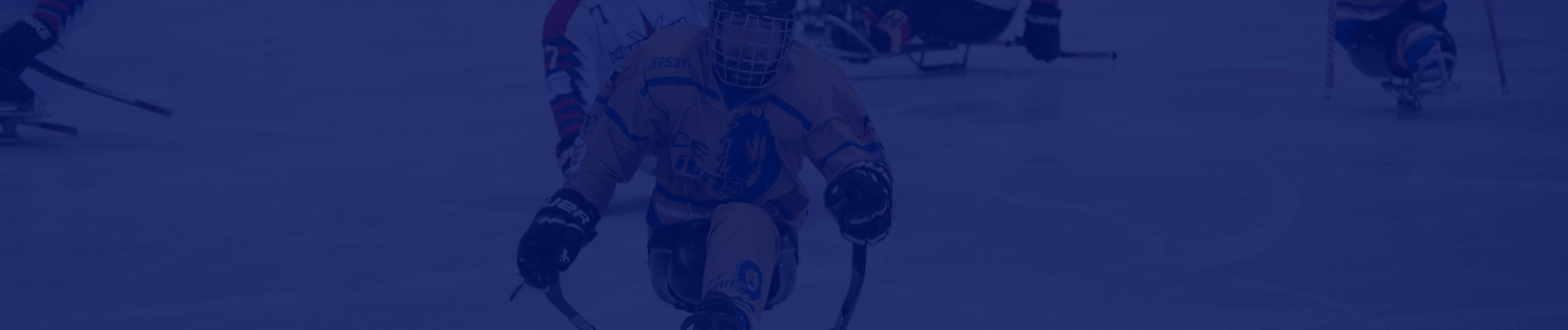 ICE Lions gegen Dresden
